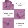 imagesiliteelon Button Down Dress Shirts for Women Long Sleeve Wrinkle Free Shirts Solid Work Business Formal Button Up ShirtPastel Violet