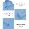 imagesiliteelon Button Down Dress Shirts for Women Long Sleeve Wrinkle Free Shirts Solid Work Business Formal Button Up ShirtSky Blue