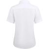 imagesiliteelon Womens Stain Shield Dress Shirts Wrinkle Free Short Sleeve Solid Tops Blouses Button Down ShirtsWhite
